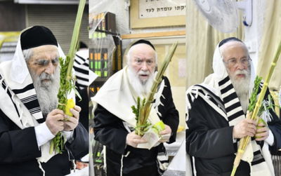 הגר"י זילברשטיין, הגרמ"צ ברלין, הגר"י סילמן בנטילת לולב