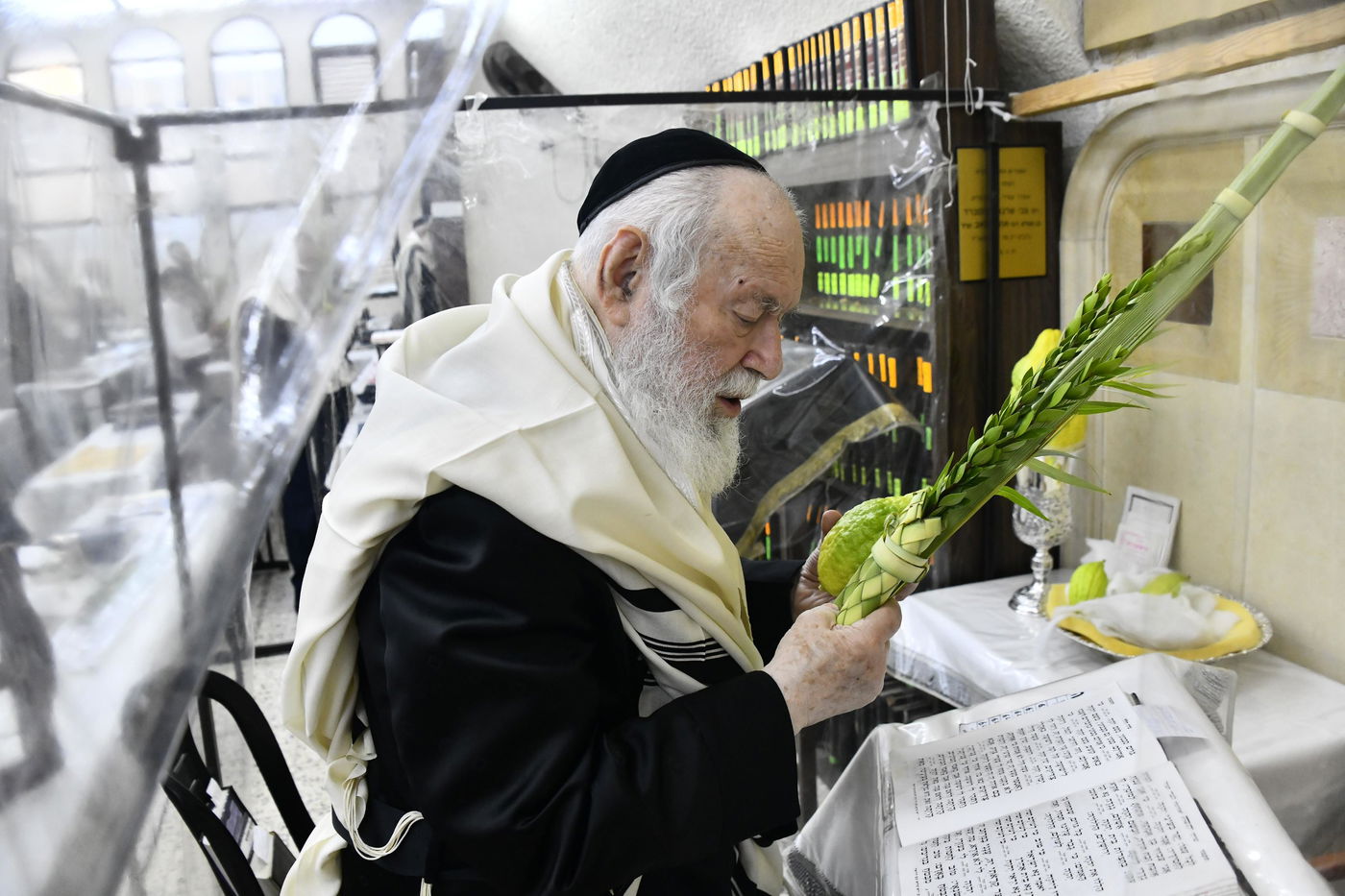 הגר"י זילברשטיין בנטילת לולב