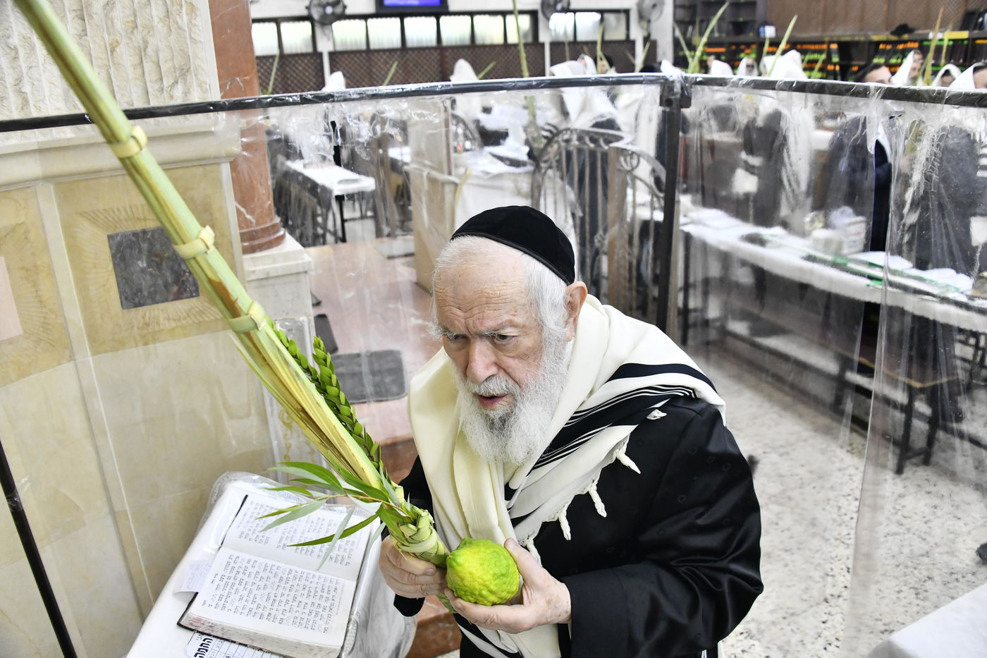 הגר"י זילברשטיין בנטילת לולב