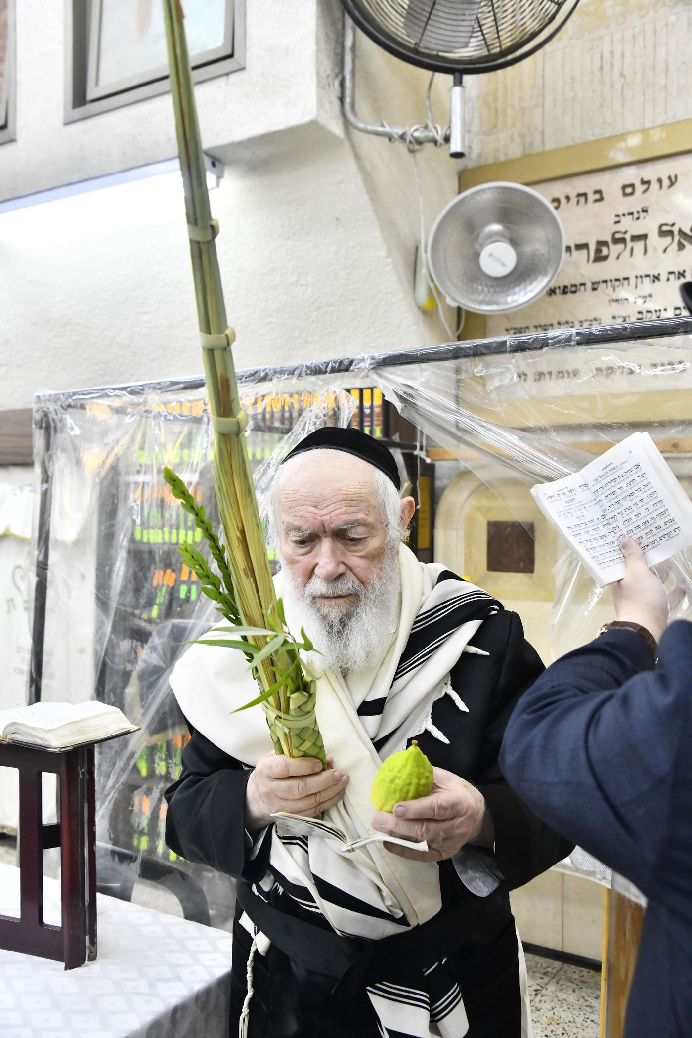 הגר"י זילברשטיין בנטילת לולב