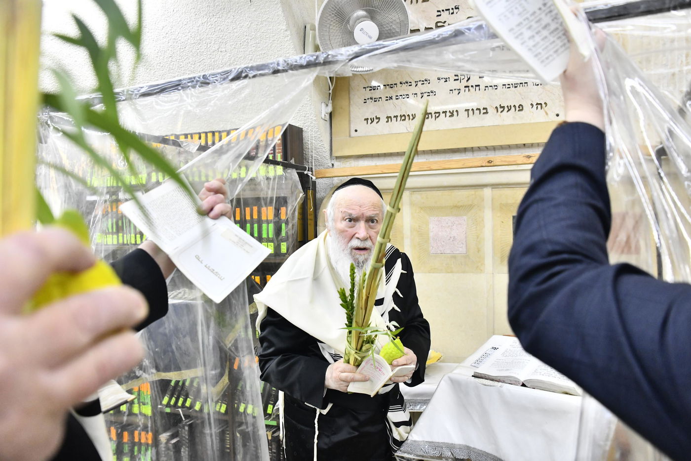 הגר"י זילברשטיין בנטילת לולב