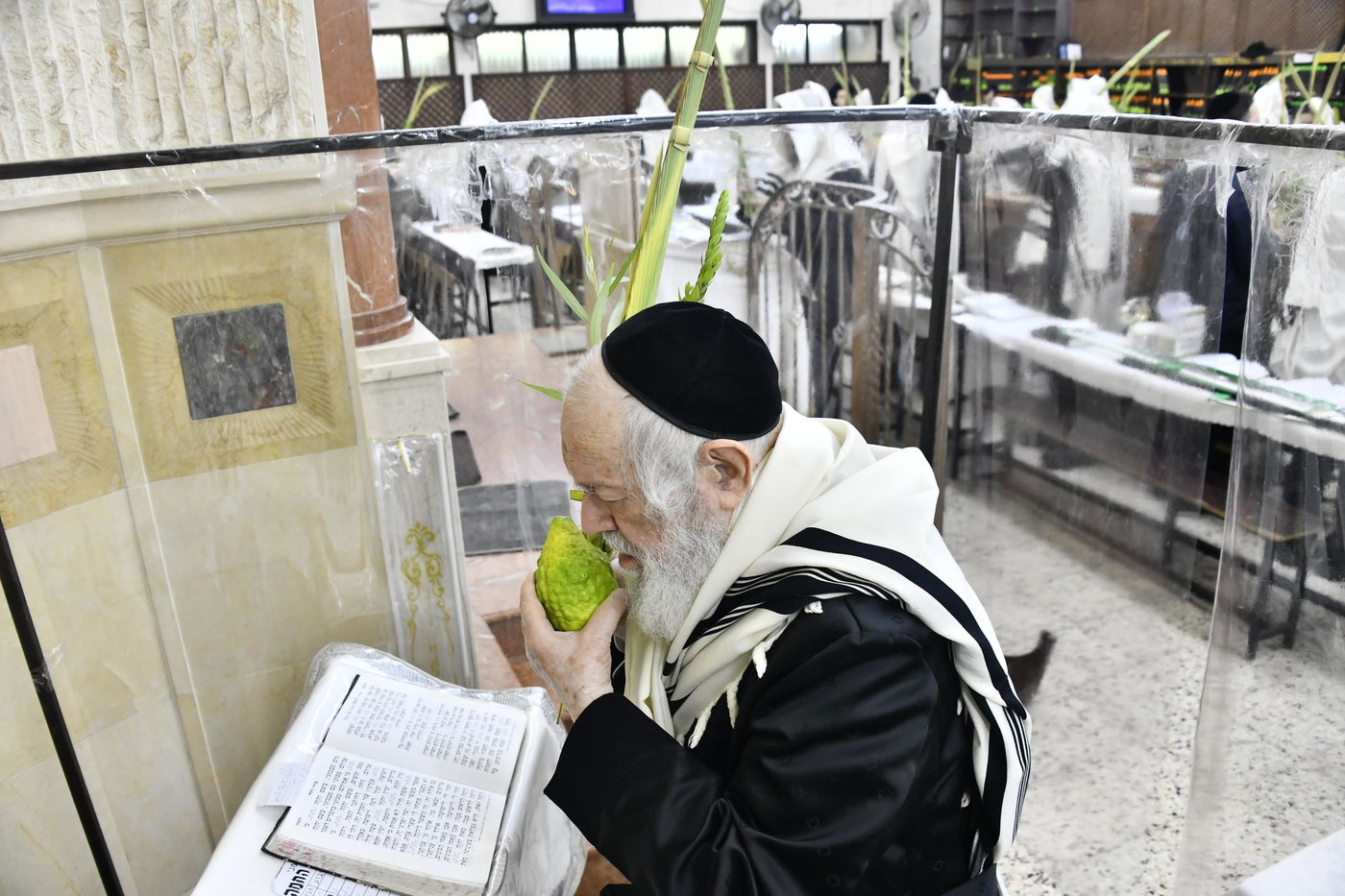 הגר"י זילברשטיין בנטילת לולב