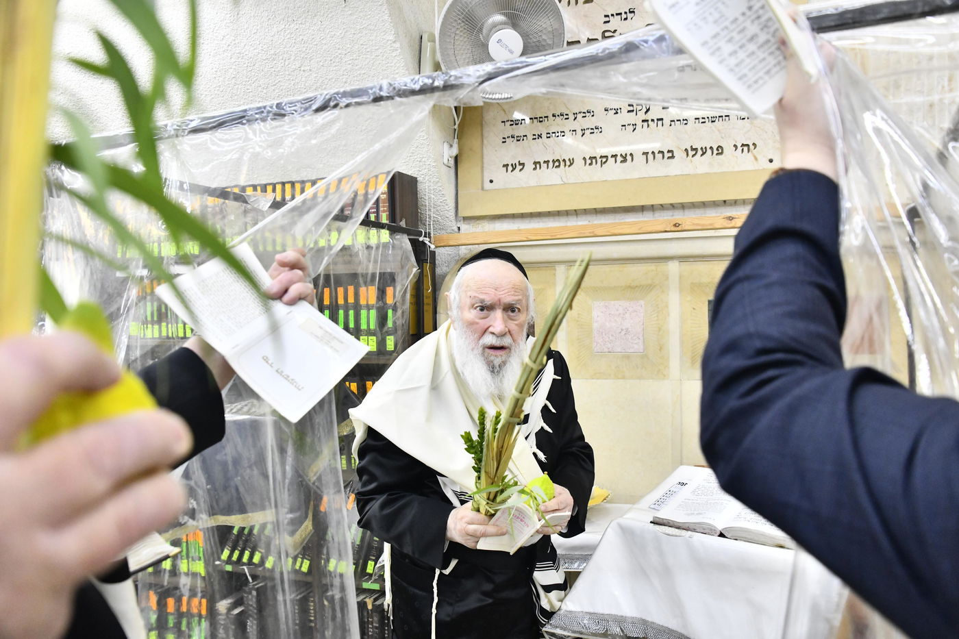 הגר"י זילברשטיין בנטילת לולב