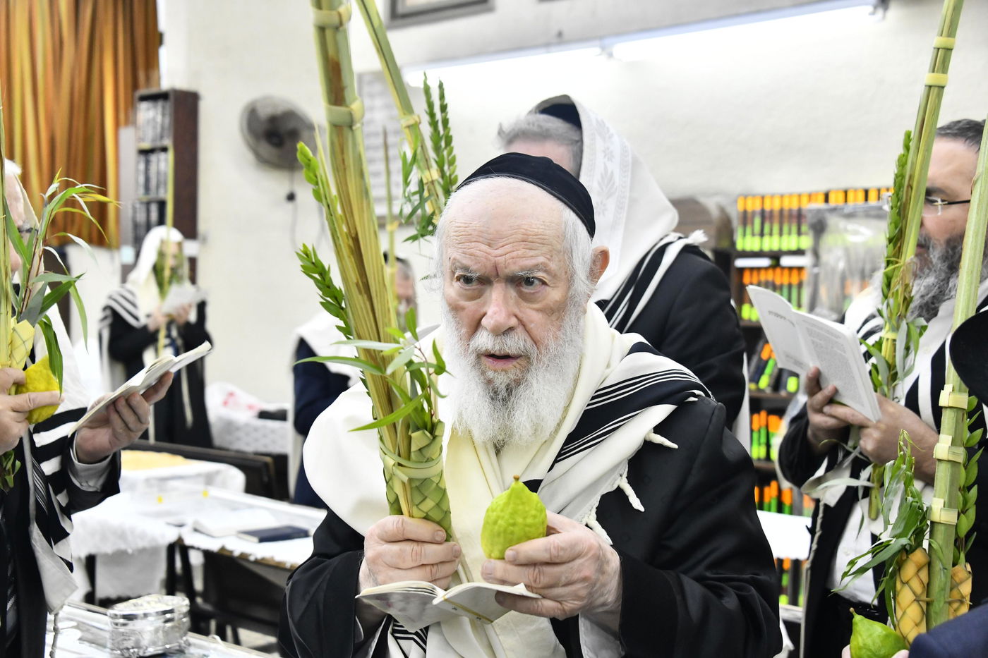 הגר"י זילברשטיין בנטילת לולב