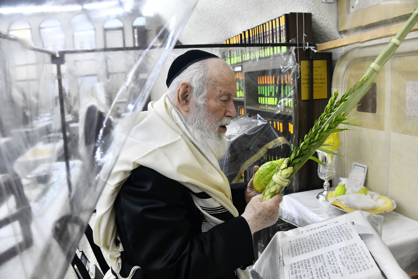 הגר"י זילברשטיין בנטילת לולב