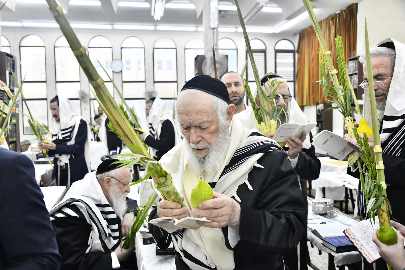 הגר"י זילברשטיין בנטילת לולב