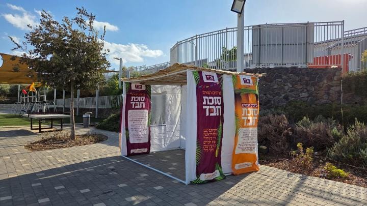 מנענעים לשלום החטופים: רבבות נוטלים ארבעת המינים | תיעוד ירוק