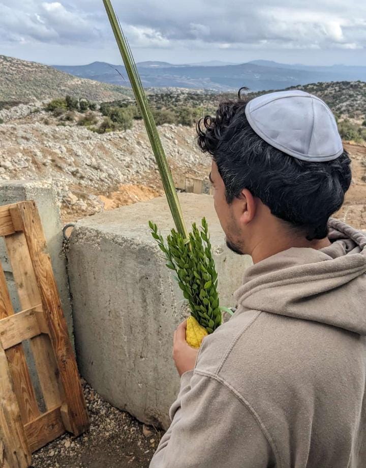 מנענעים לשלום החטופים: רבבות נוטלים ארבעת המינים | תיעוד ירוק