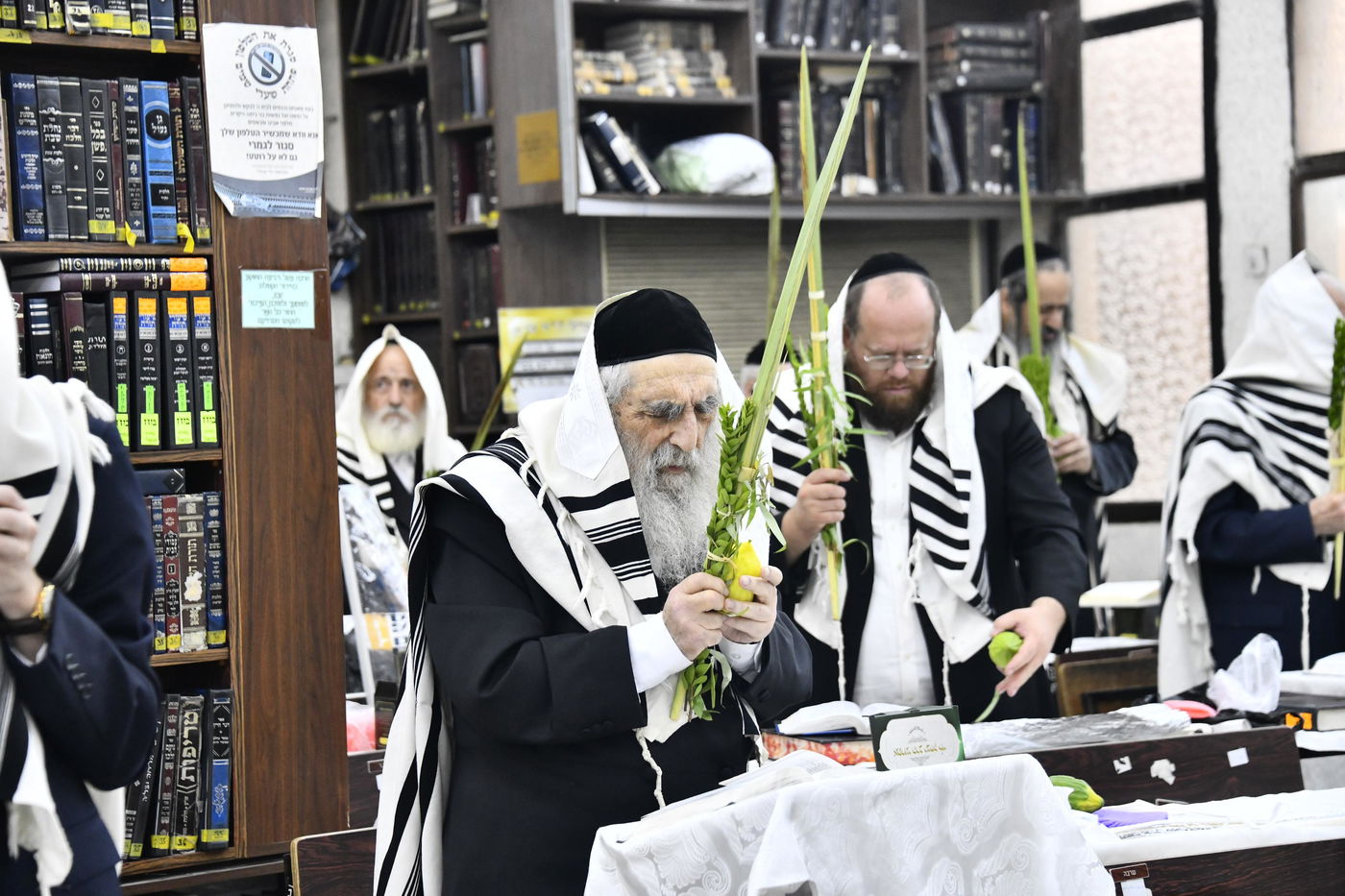 הגאון רבי מנחם צבי ברלין בנטילת לולב