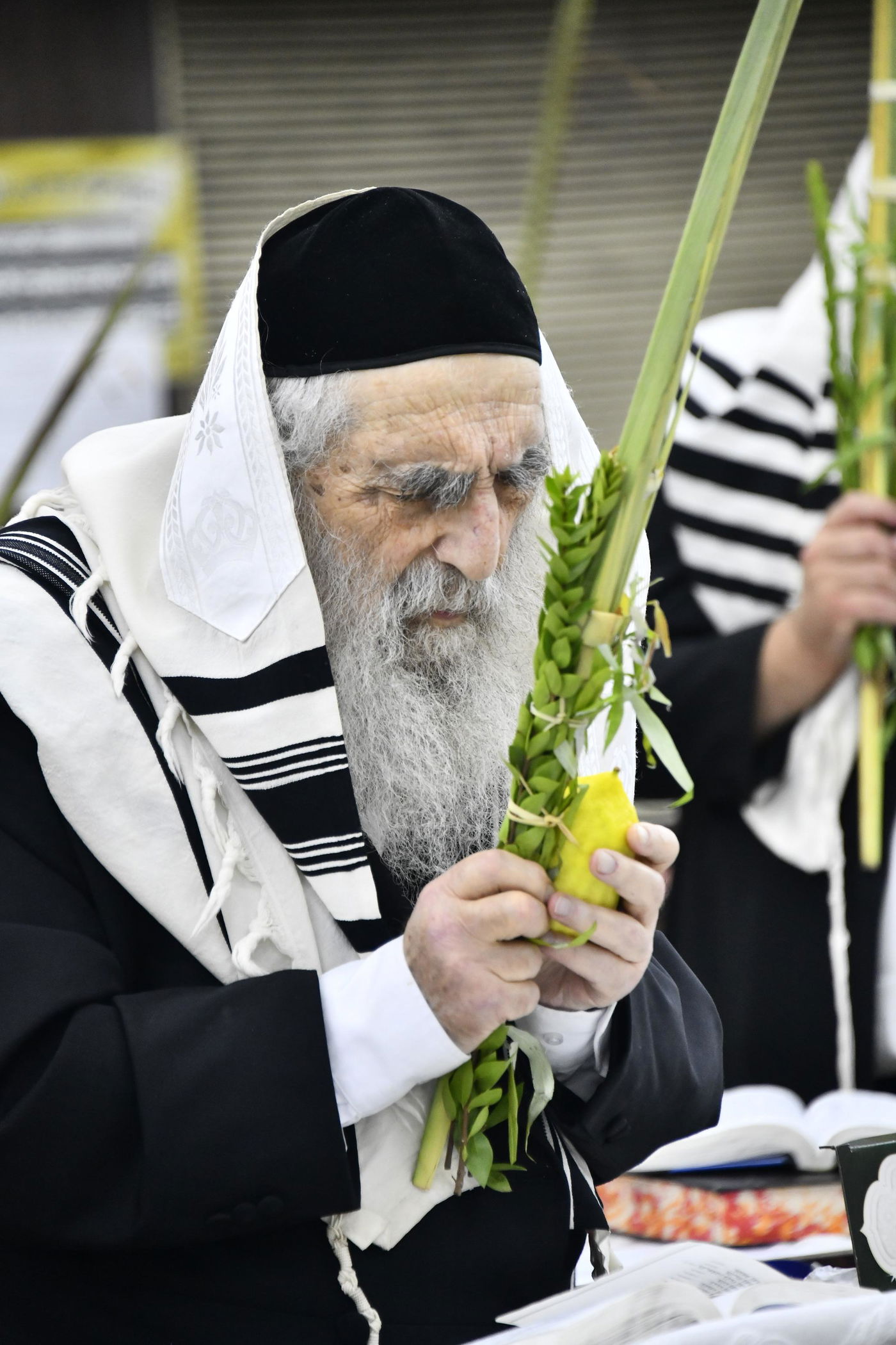 הגאון רבי מנחם צבי ברלין בנטילת לולב