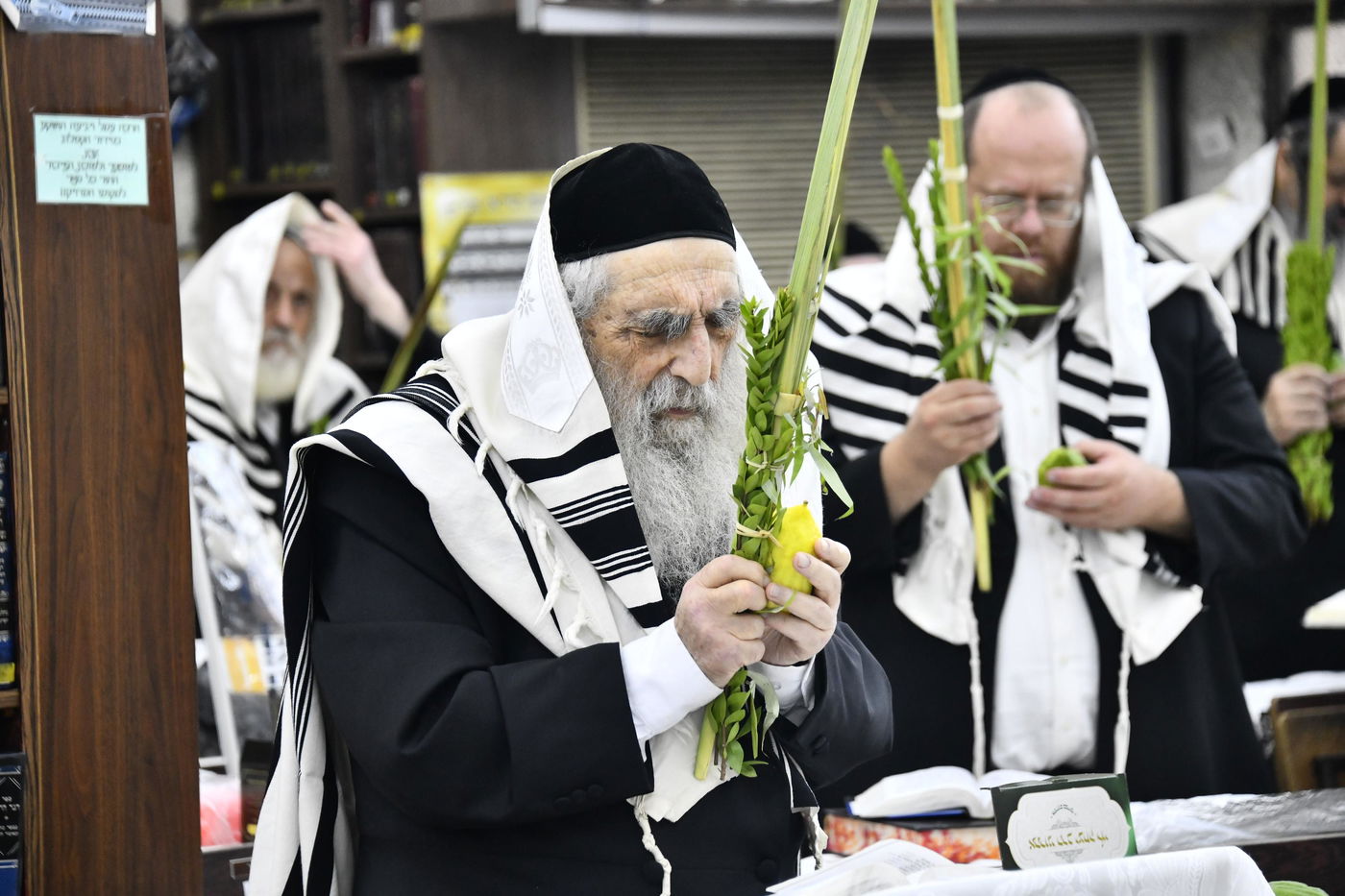 הגאון רבי מנחם צבי ברלין בנטילת לולב