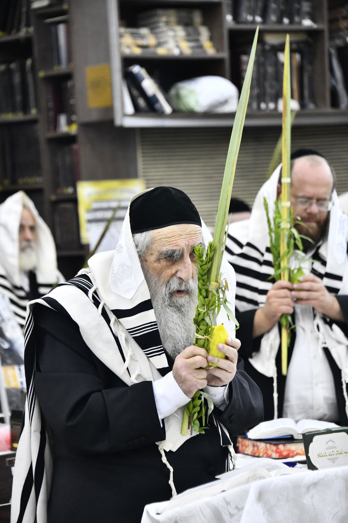 הגאון רבי מנחם צבי ברלין בנטילת לולב