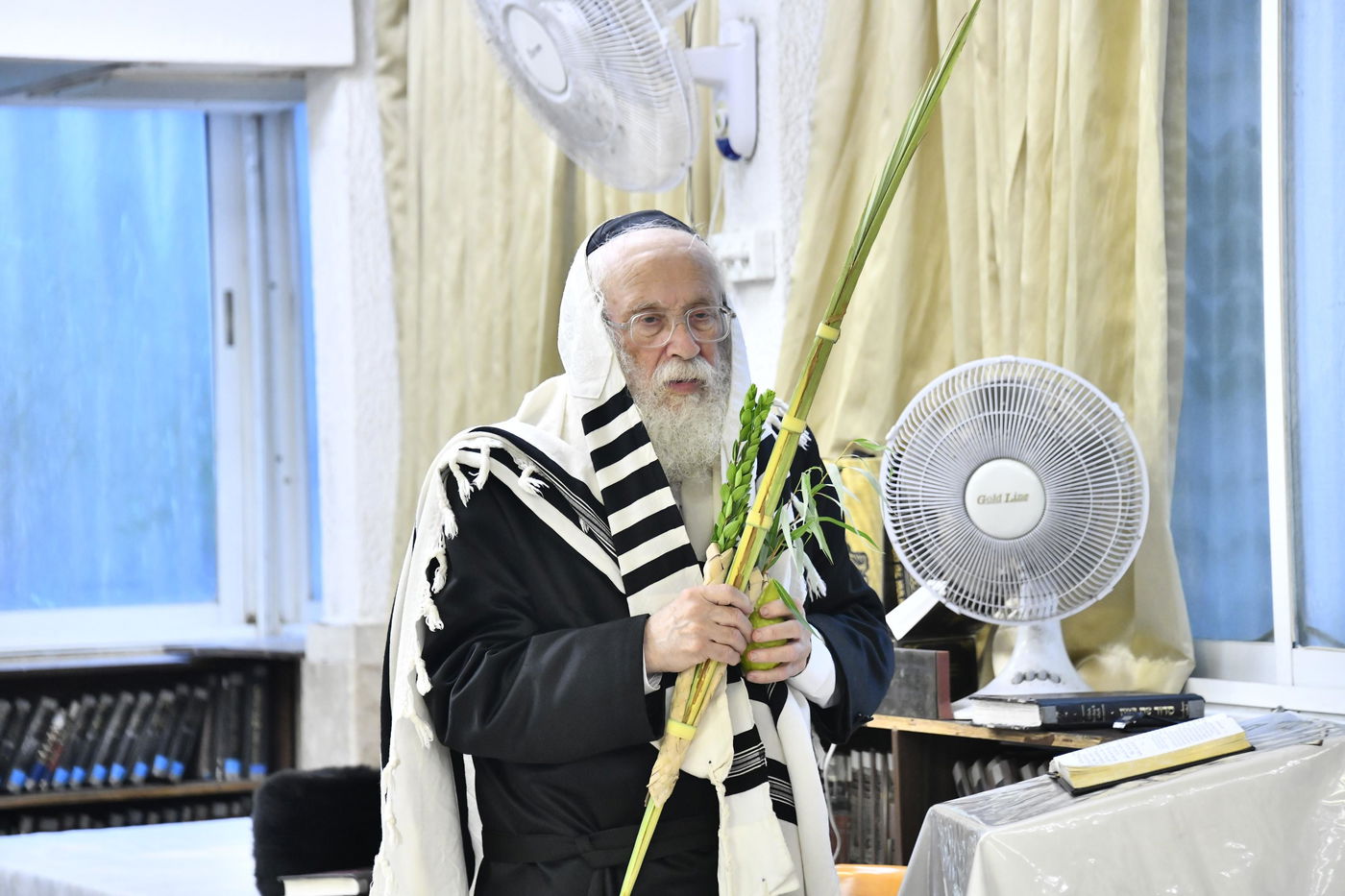 הגאון רבי יהודה סילמן בנטילת לולב