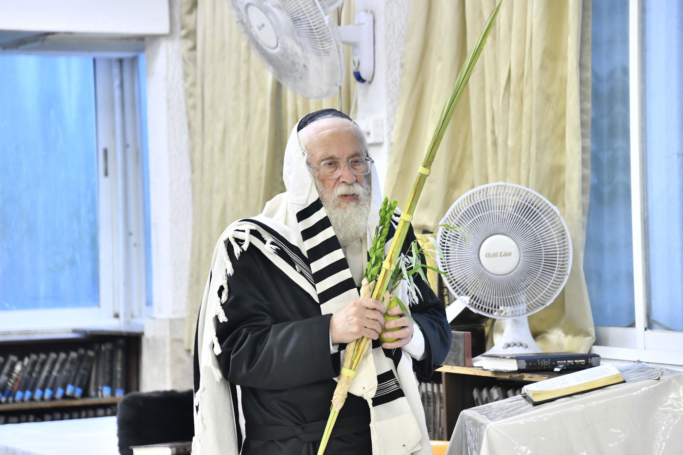 הגאון רבי יהודה סילמן בנטילת לולב