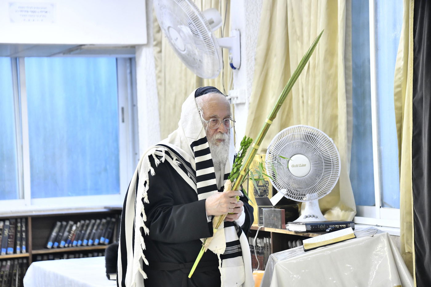 הגאון רבי יהודה סילמן בנטילת לולב