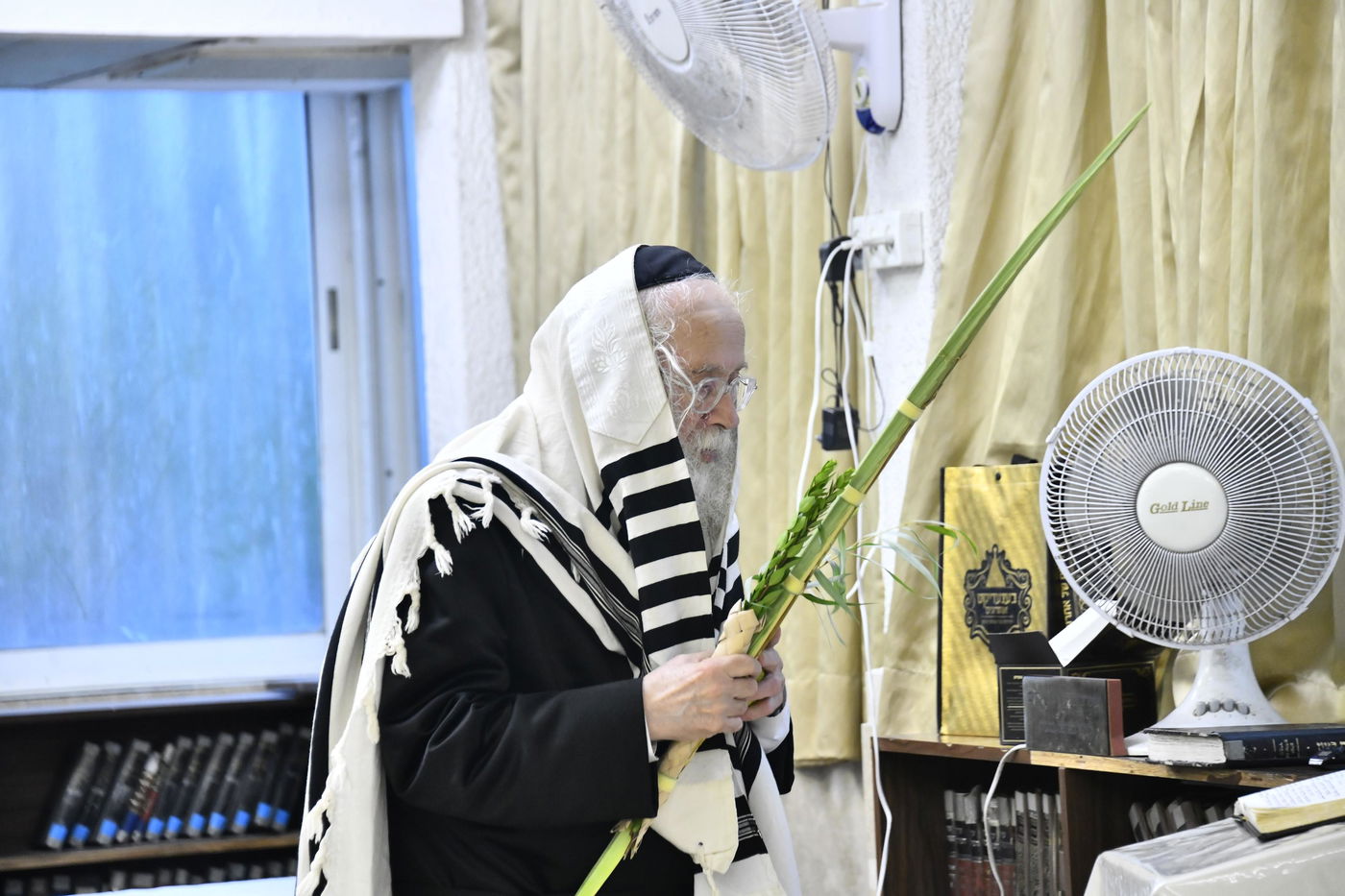 הגאון רבי יהודה סילמן בנטילת לולב