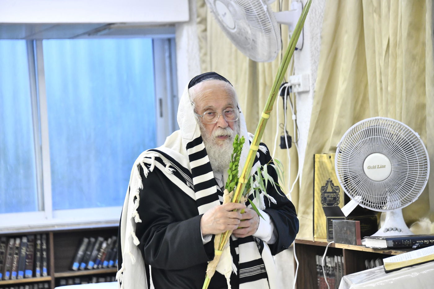 הגאון רבי יהודה סילמן בנטילת לולב