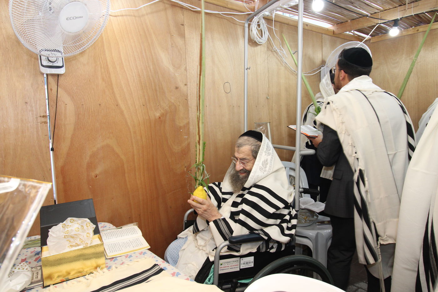 הגאון רבי מסעוד בן שמעון בנטילת לולב בבית החולים