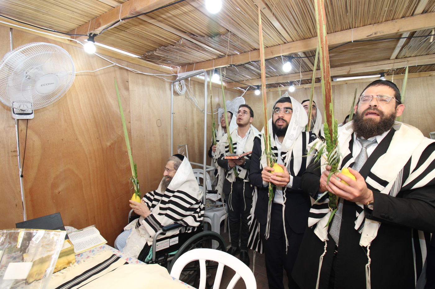 הגאון רבי מסעוד בן שמעון בנטילת לולב בבית החולים