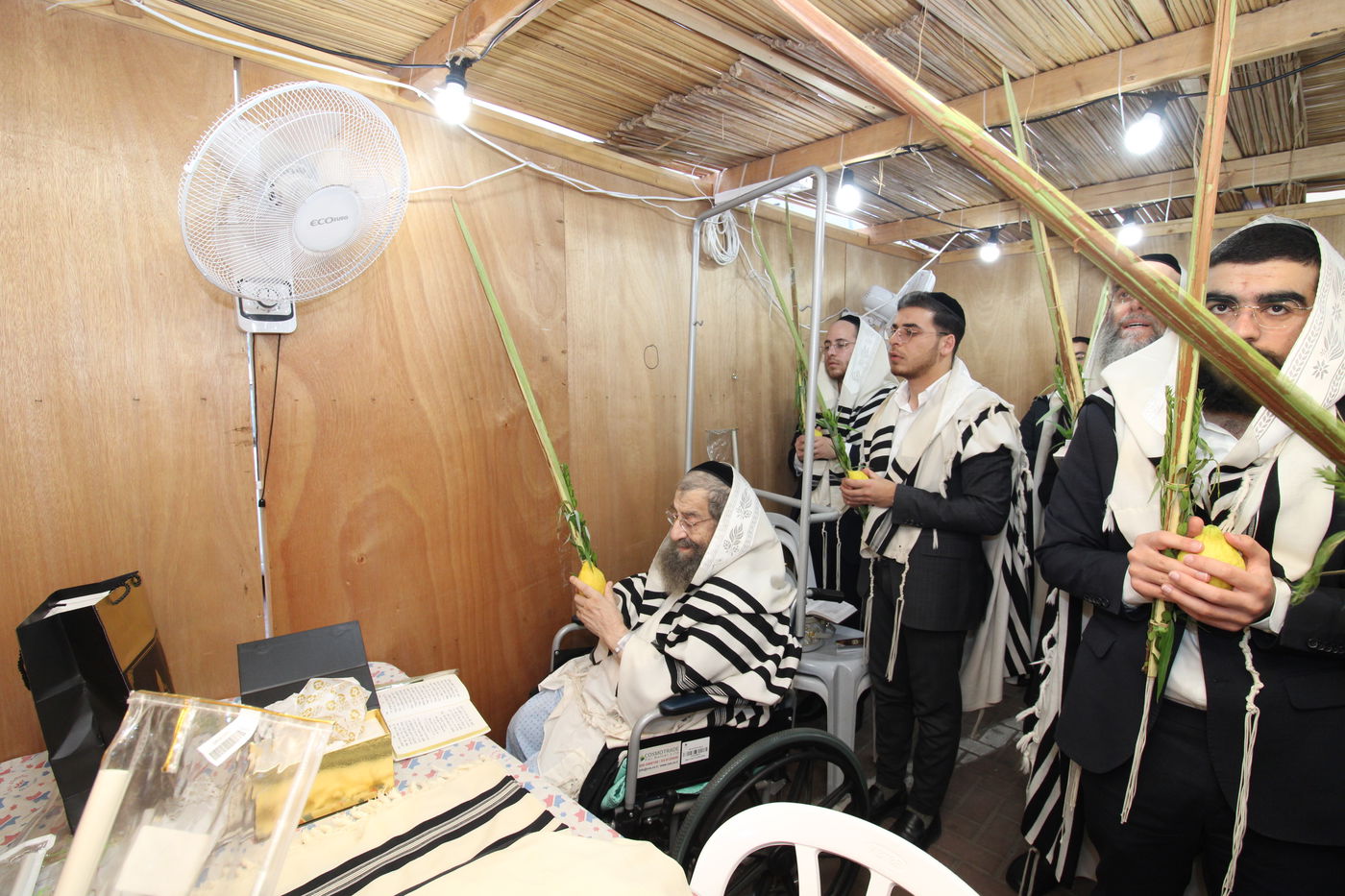 הגאון רבי מסעוד בן שמעון בנטילת לולב בבית החולים