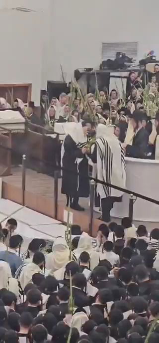 שואגים הושע נא : הושענא רבה בצל האדמו"ר מגור 