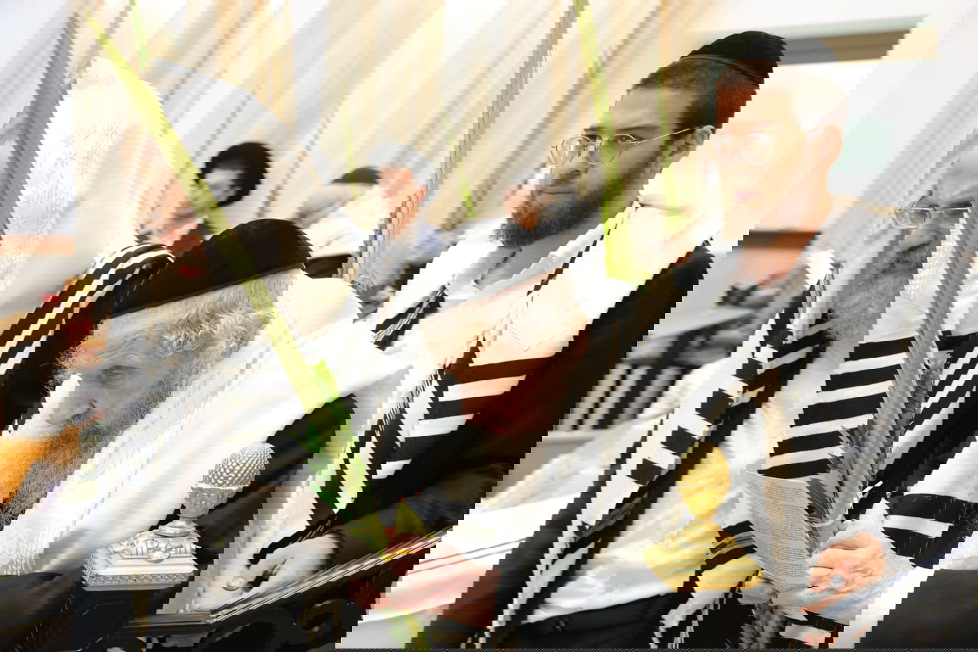 הושענא רבה אצל הגר"ד לנדו