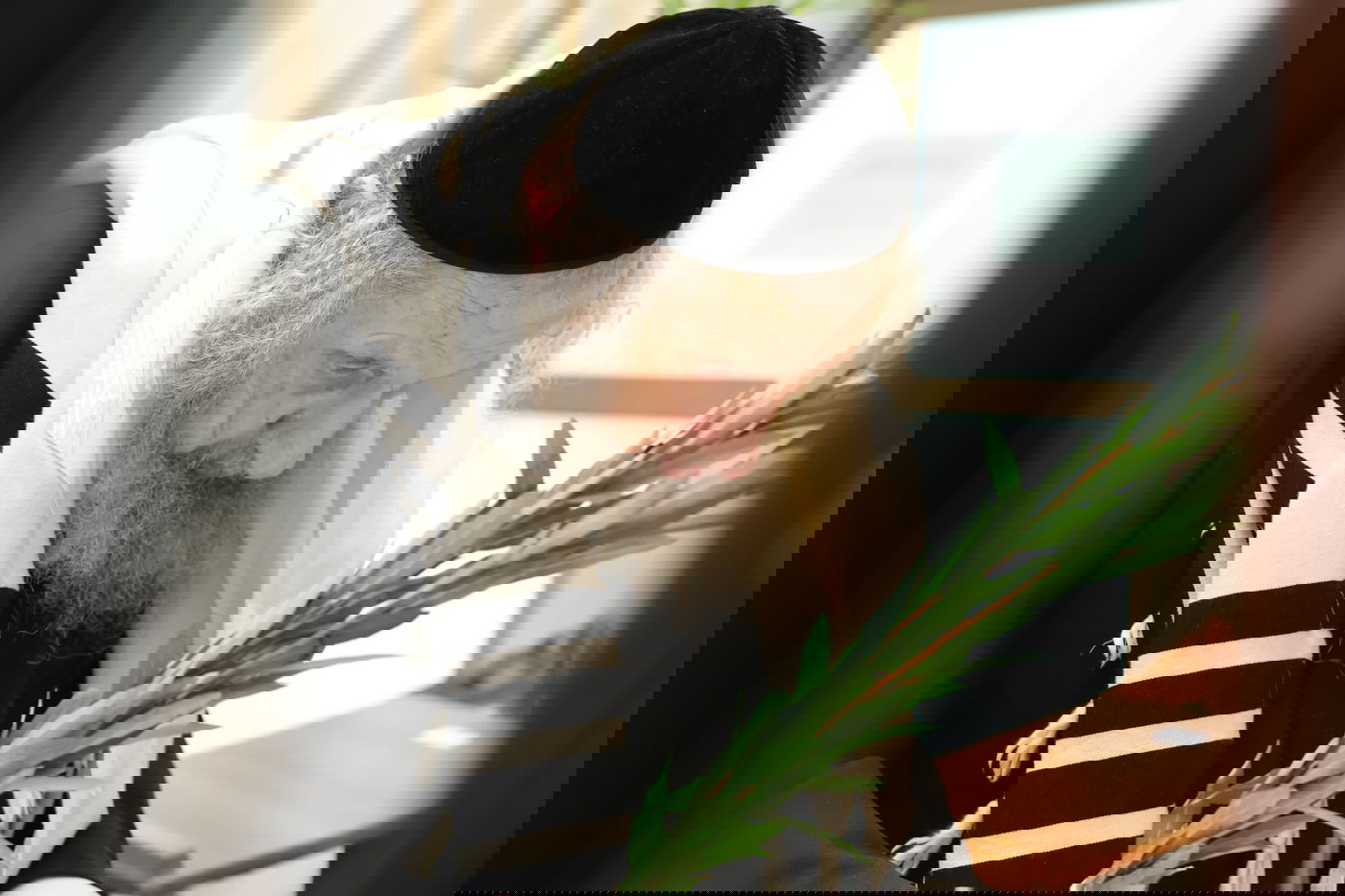 הושענא רבה אצל הגר"ד לנדו