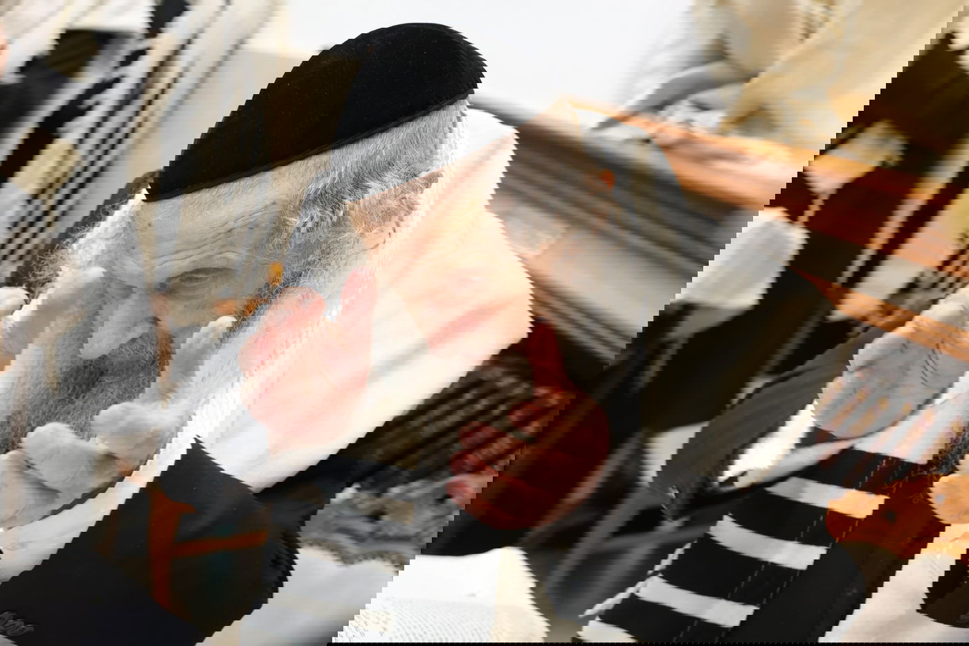 הושענא רבה אצל הגר"ד לנדו