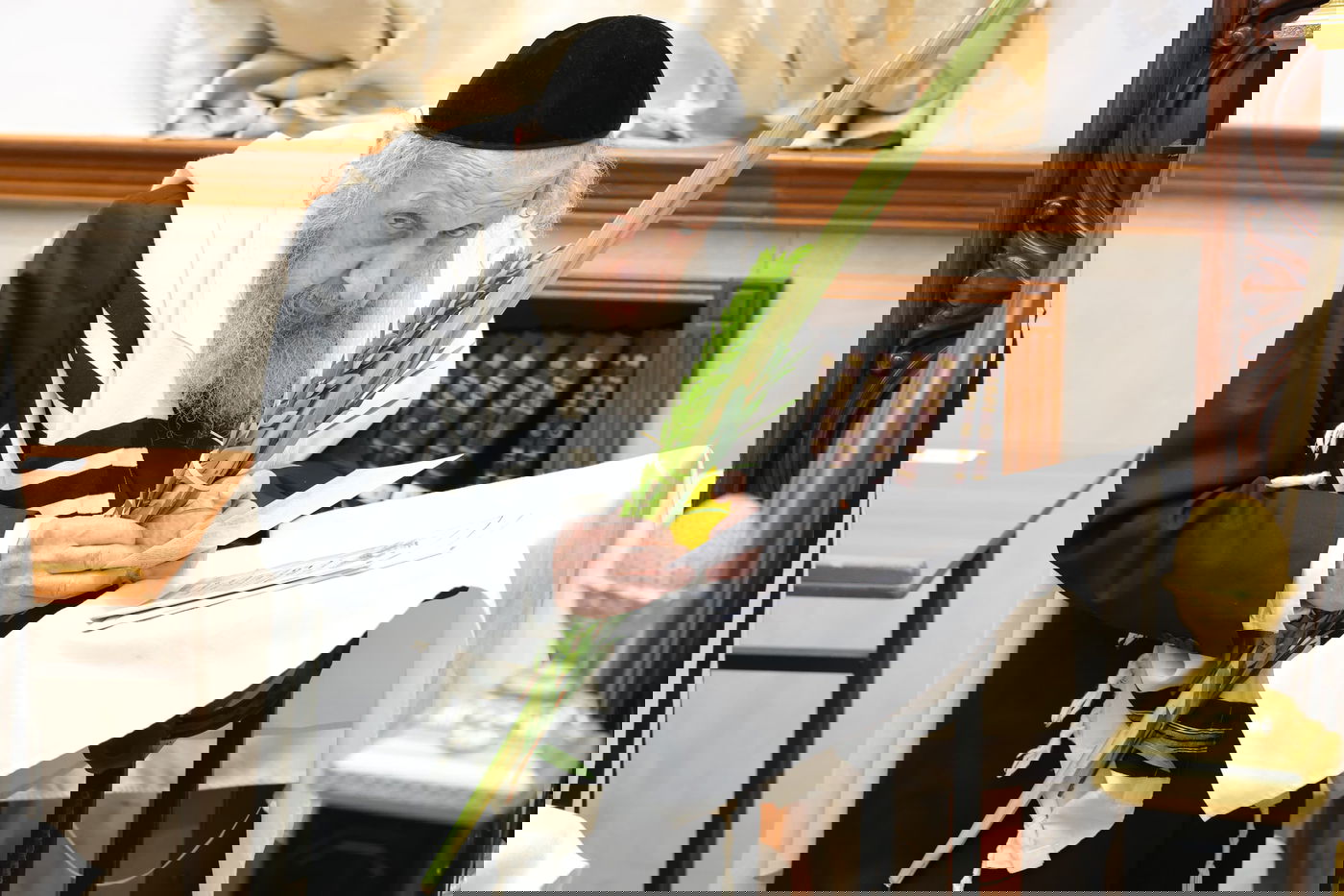 הושענא רבה אצל הגר"ד לנדו