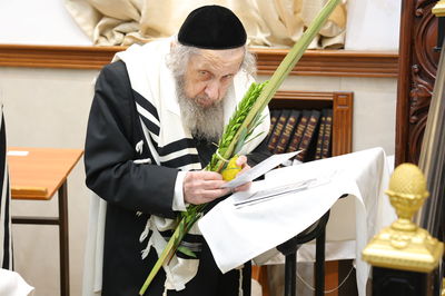 הושענא רבה אצל הגר"ד לנדו