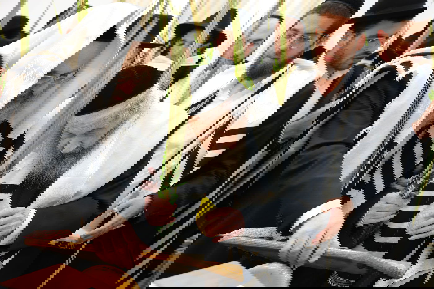 הושענא רבה אצל הגר"ד לנדו