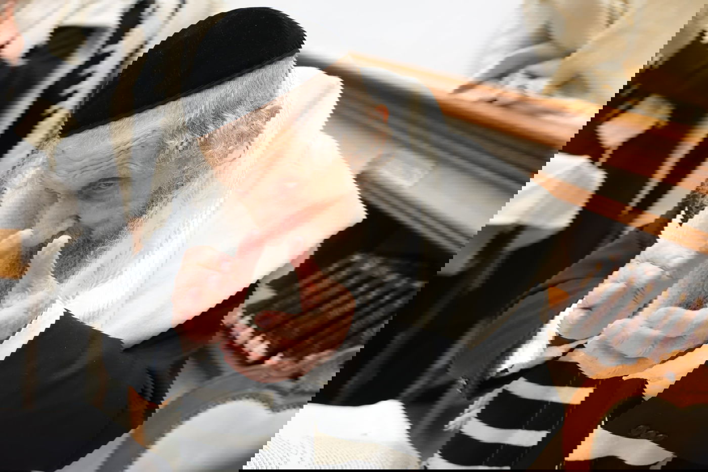 הושענא רבה אצל הגר"ד לנדו