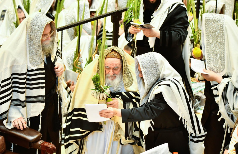 הושענא רבה בחצה"ק ויז'ניץ