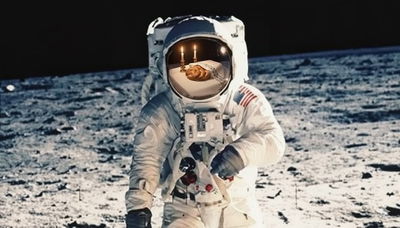 ישראל נמשלו ללבנה