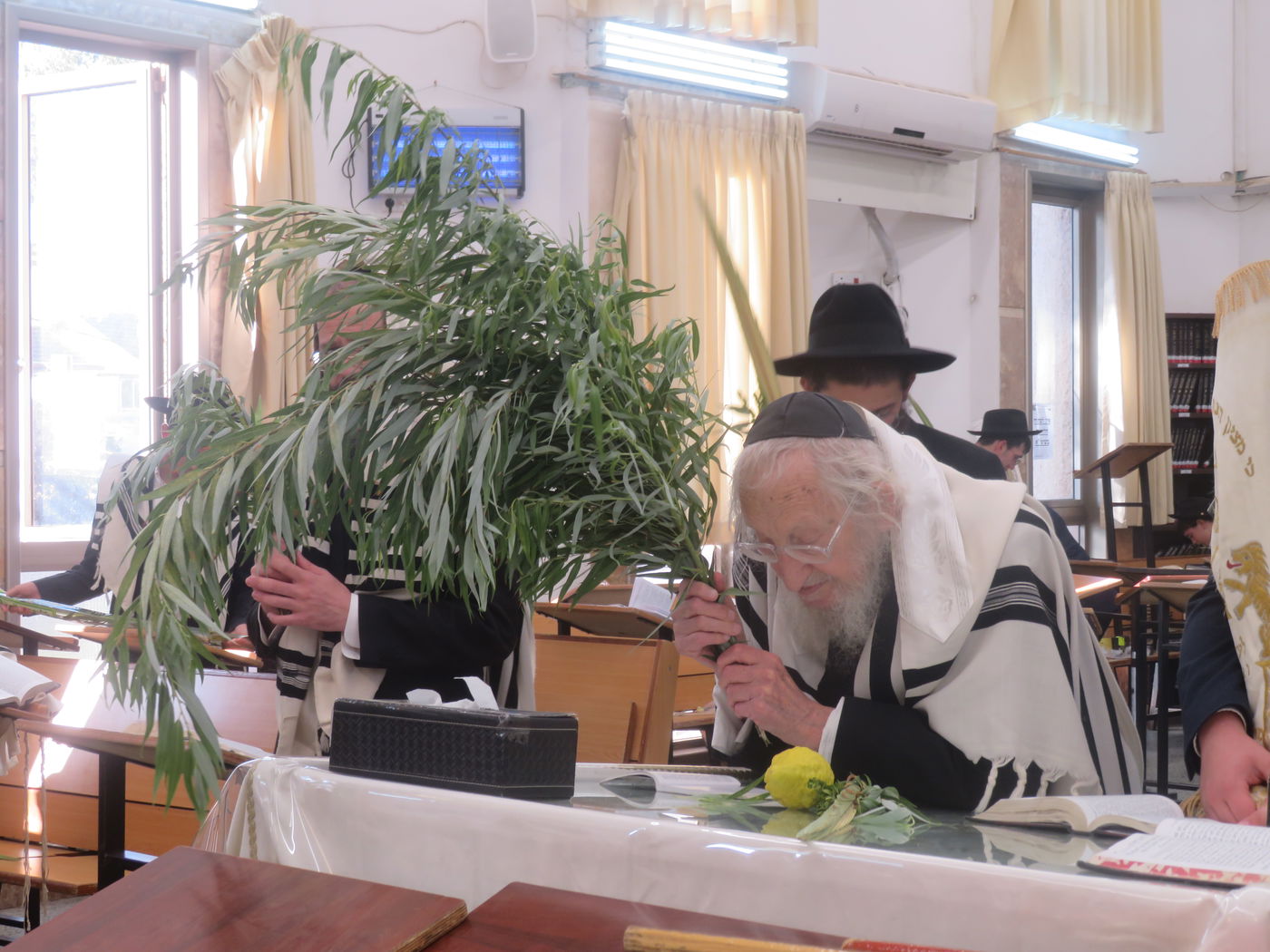 חג הסוכות אצל הגר"א לוי 