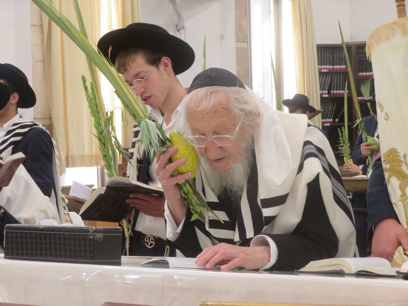 חג הסוכות אצל הגר"א לוי 