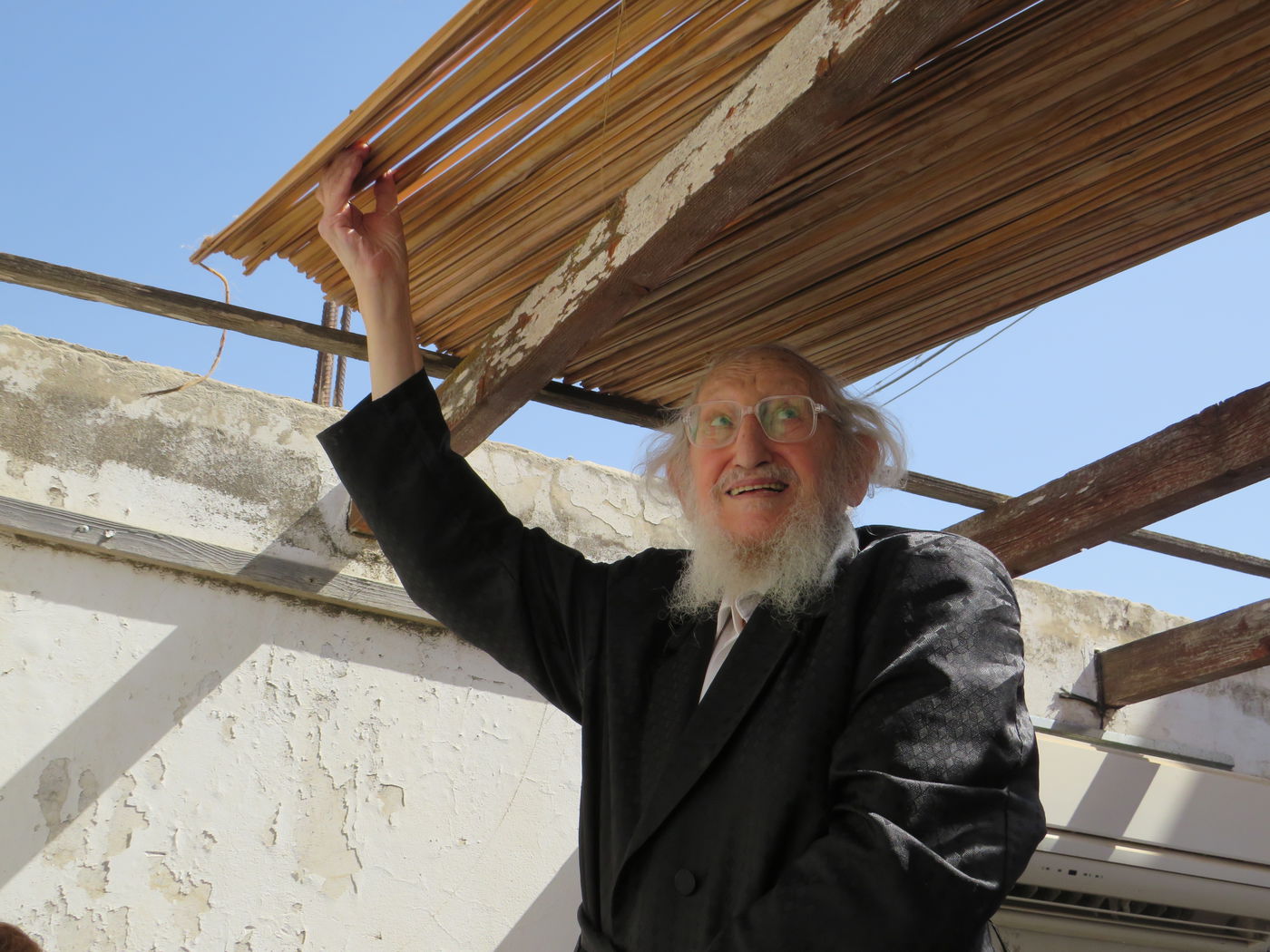 חג הסוכות אצל הגר"א לוי 