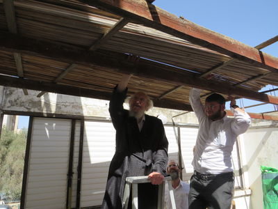 חג הסוכות אצל הגר"א לוי 