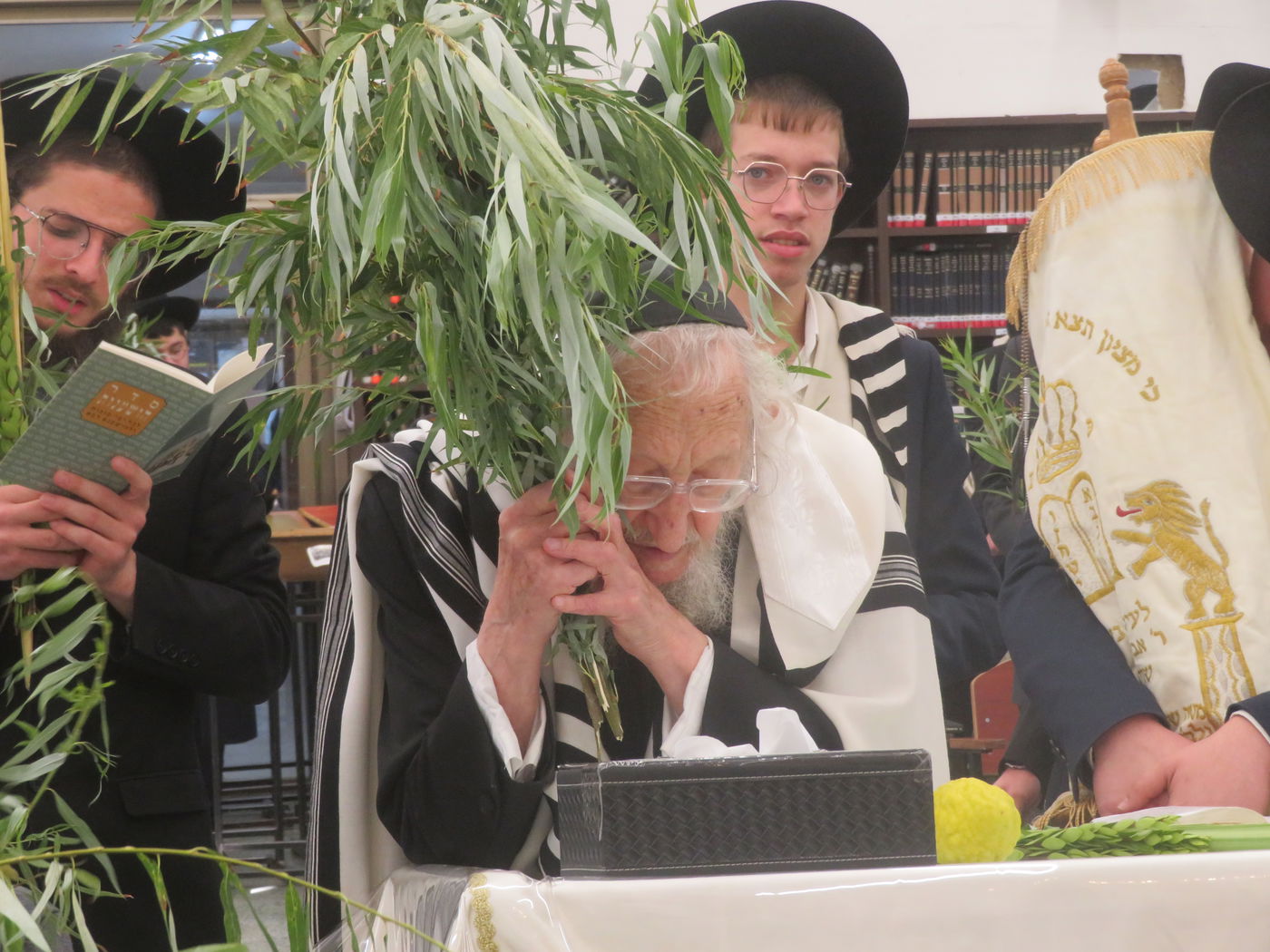 חג הסוכות אצל הגר"א לוי 