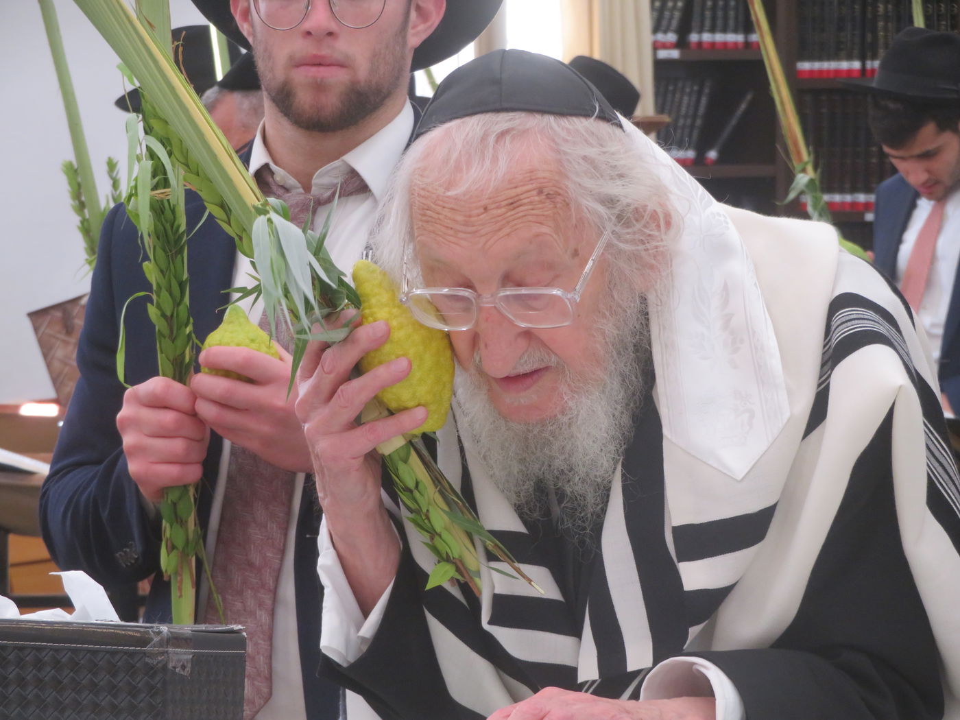 חג הסוכות אצל הגר"א לוי 