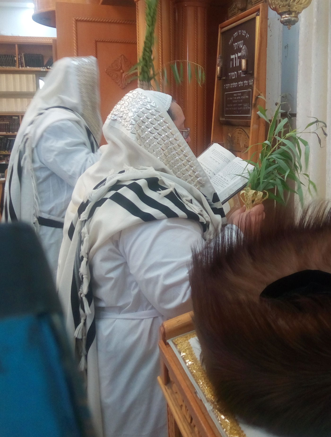 ירח האיתנים בחצה"ק צאנז ז'מיגראד