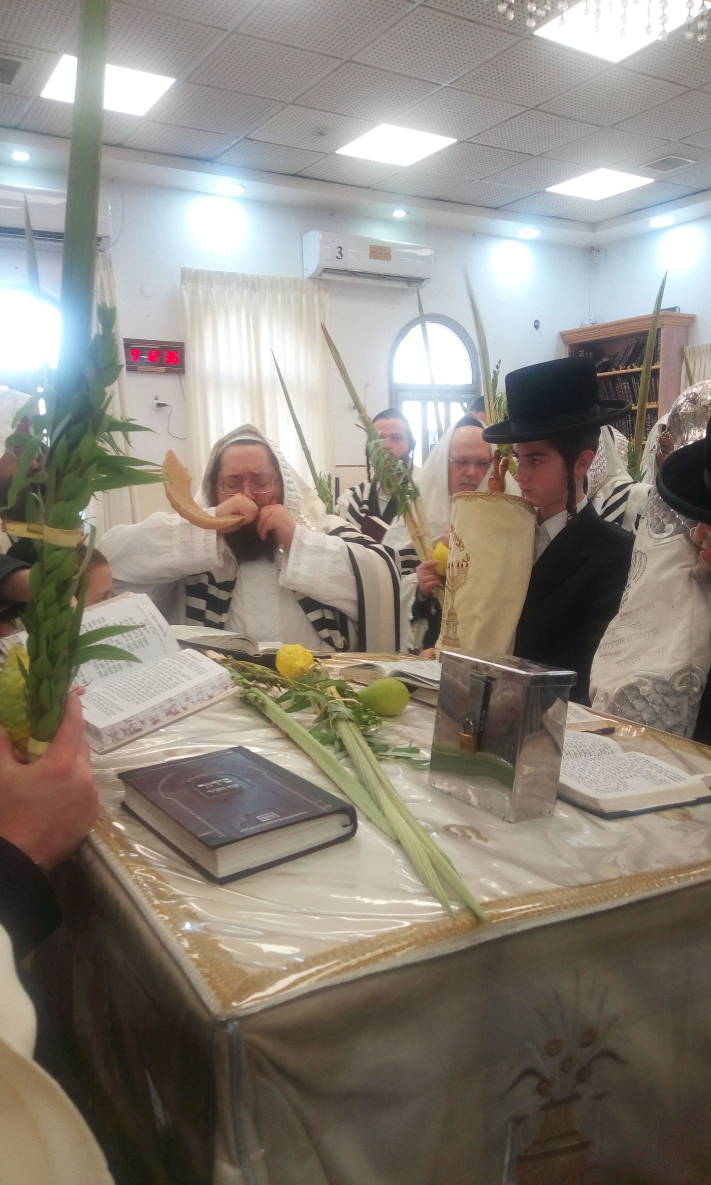 ירח האיתנים בחצה"ק צאנז ז'מיגראד