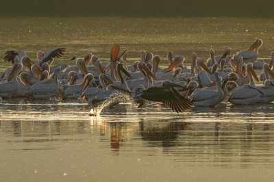 התחזית: ירידה קלה בטמפרטורות | בסוף השבוע: התחממות 