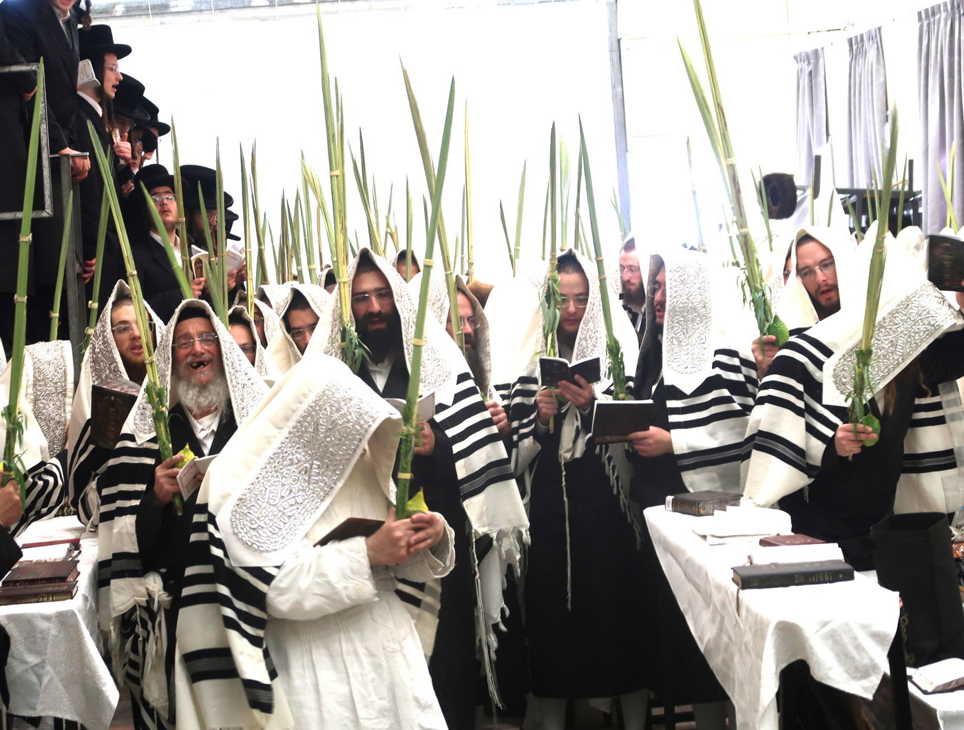 סווכת - הושענא רבה - שמחת תורה, בחצה"ק נדבורנה ירושלים