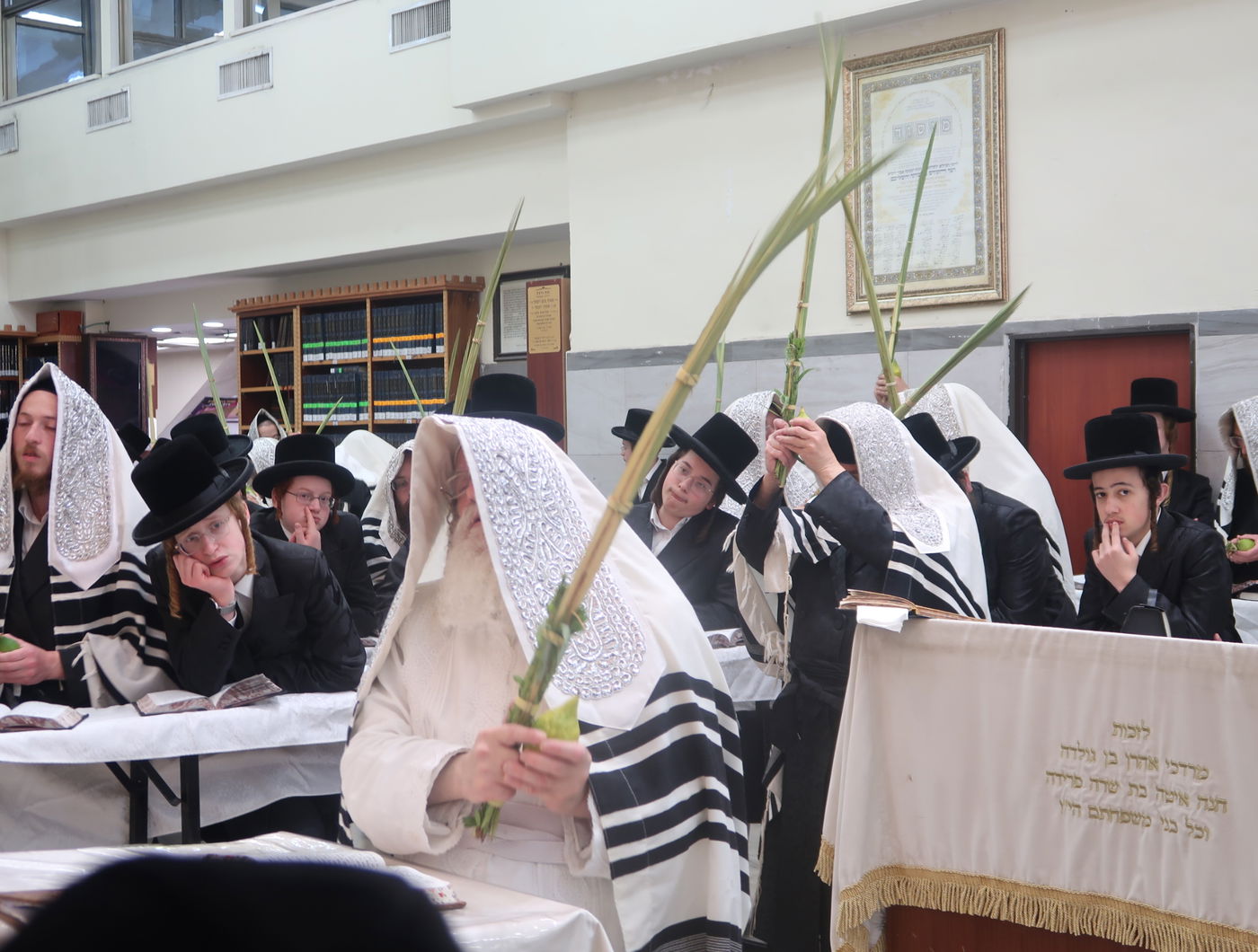 סווכת - הושענא רבה - שמחת תורה, בחצה"ק נדבורנה ירושלים