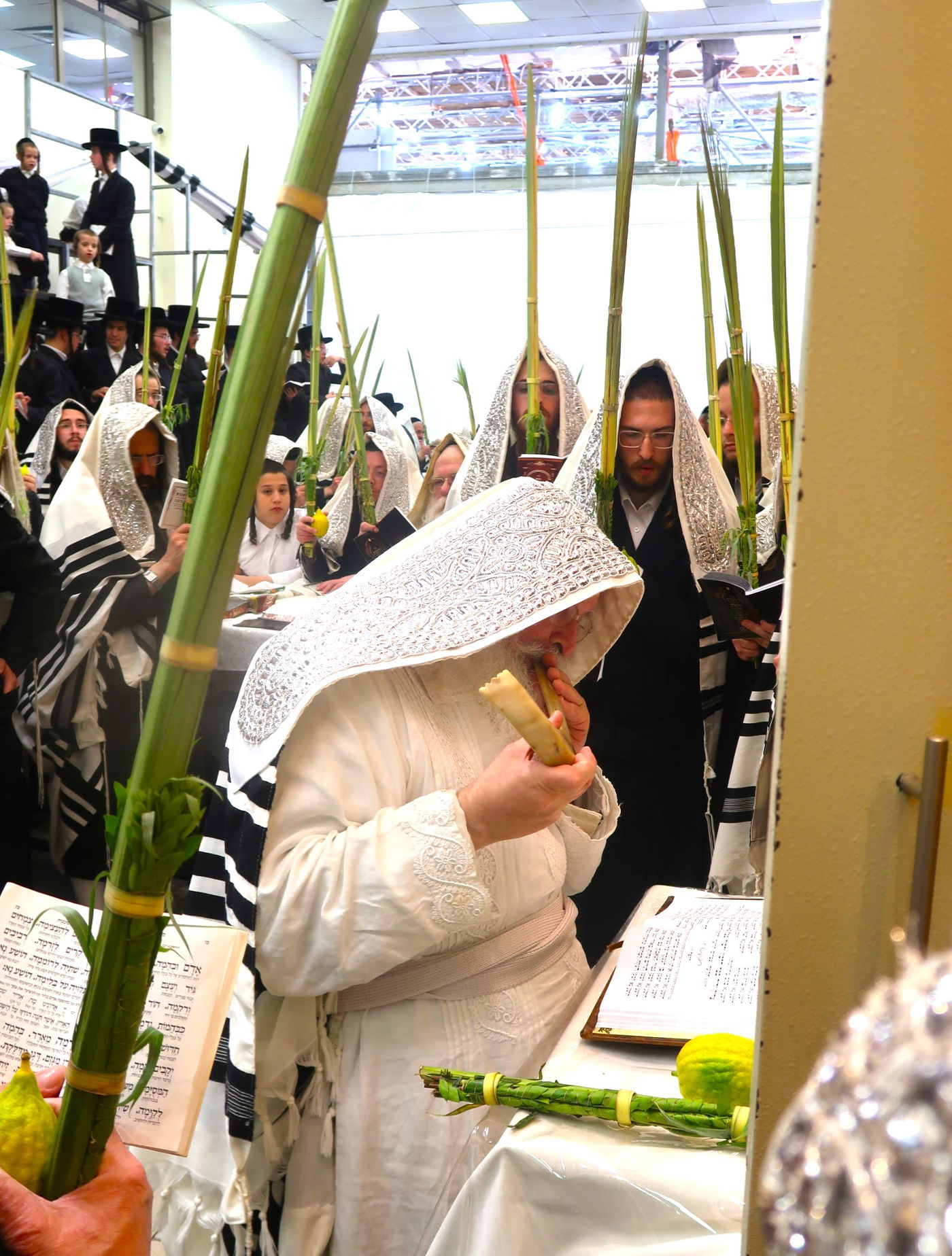 סווכת - הושענא רבה - שמחת תורה, בחצה"ק נדבורנה ירושלים