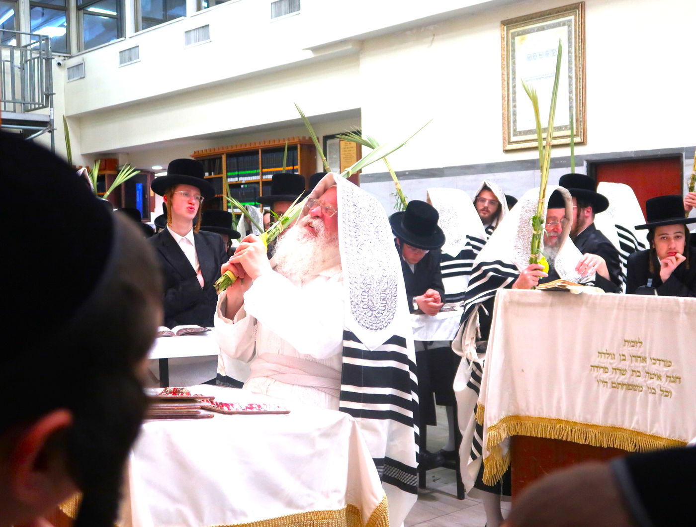 סווכת - הושענא רבה - שמחת תורה, בחצה"ק נדבורנה ירושלים