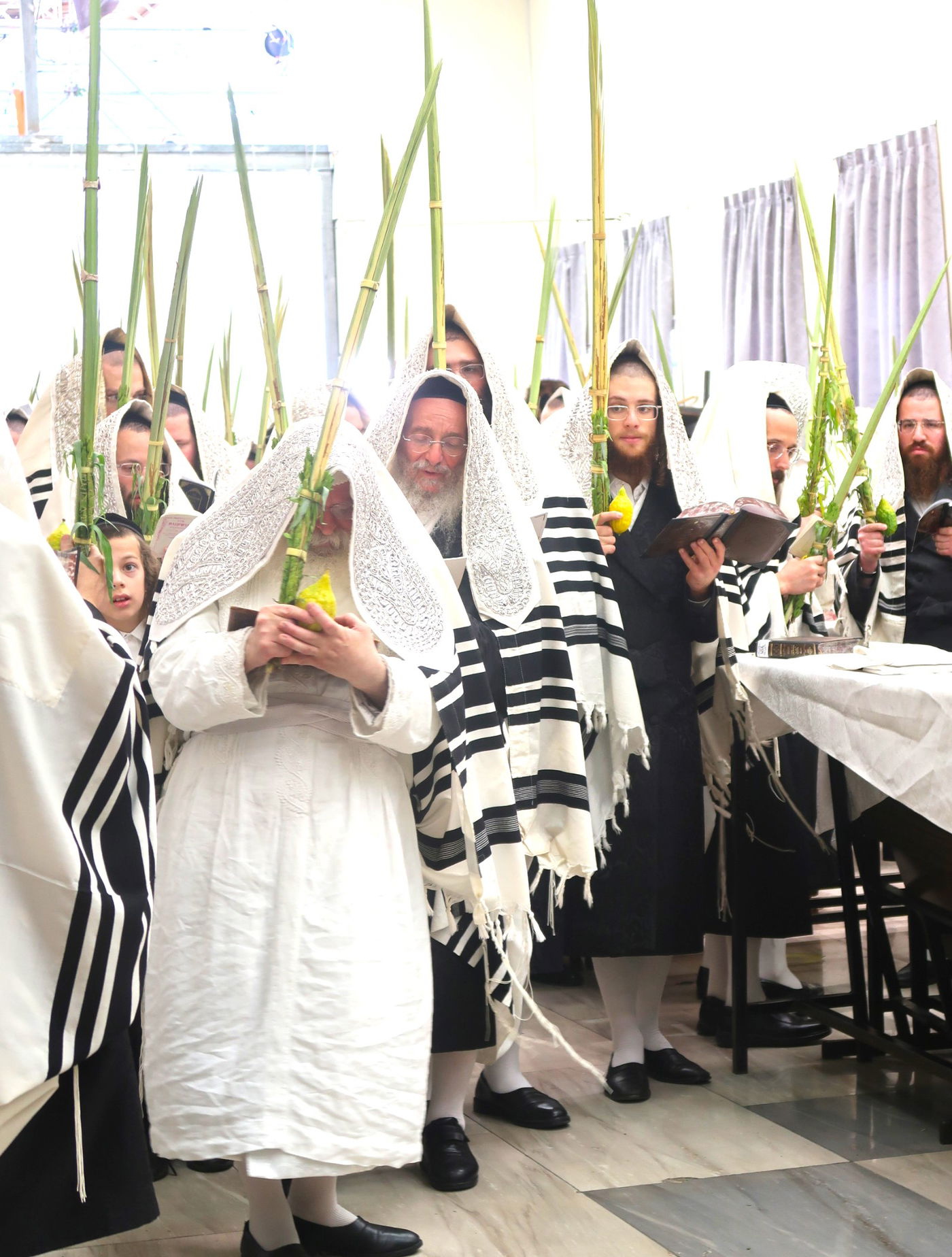 סווכת - הושענא רבה - שמחת תורה, בחצה"ק נדבורנה ירושלים