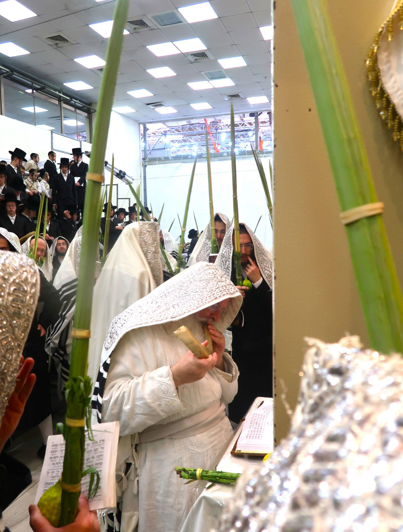 סווכת - הושענא רבה - שמחת תורה, בחצה"ק נדבורנה ירושלים