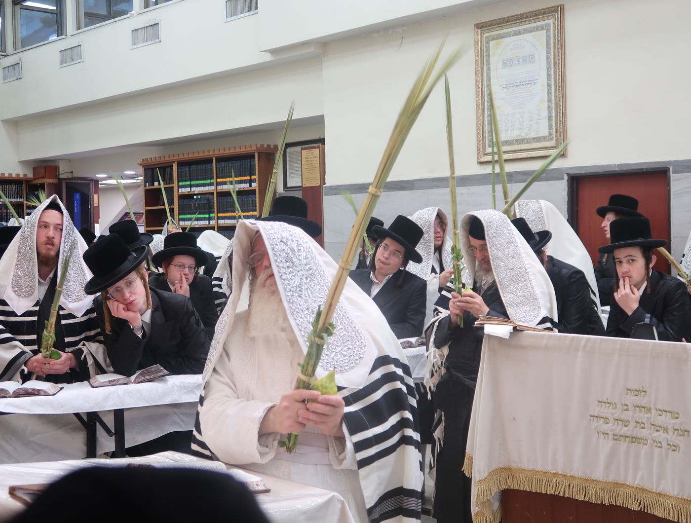 סווכת - הושענא רבה - שמחת תורה, בחצה"ק נדבורנה ירושלים